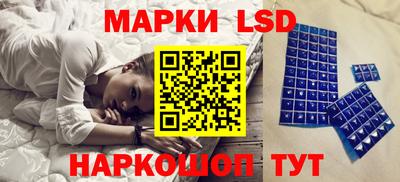 spice Заволжье