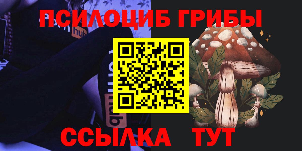 дарнет шоп  Вход с VPN  Кумертау  Псилоцибиновые грибы Cubensis 
